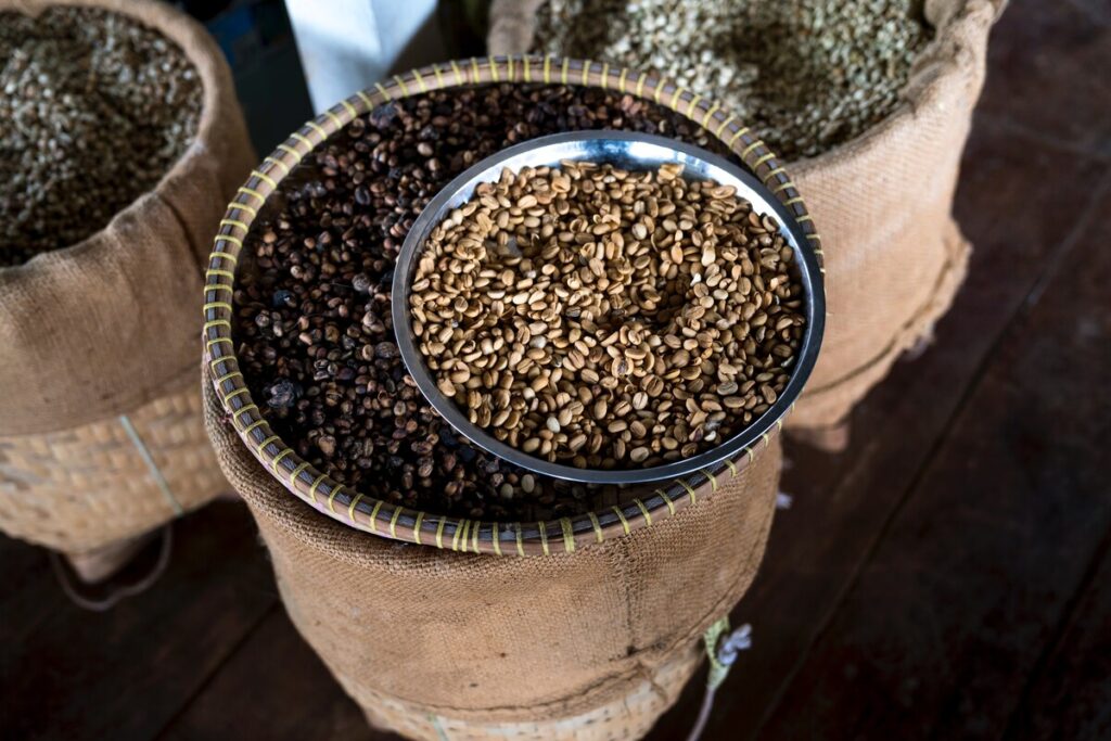 Roasted and raw coffee beans